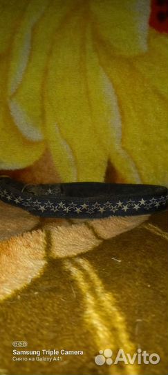 Амуниция для собак