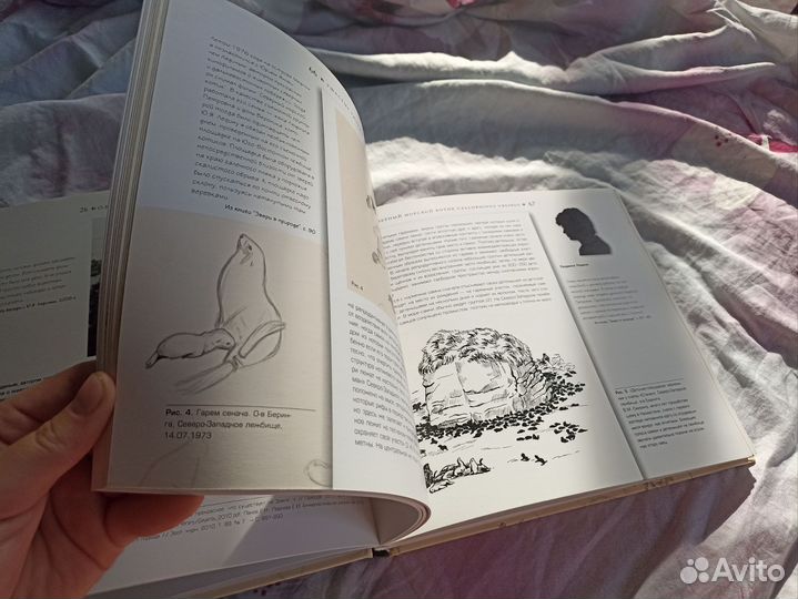 Иллюстрированная книга про животных, ластоногие