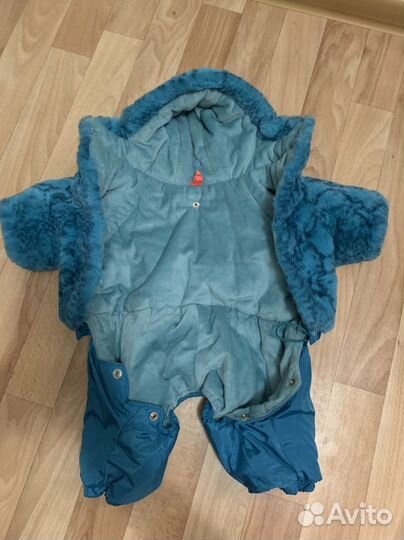 Одежда для собак