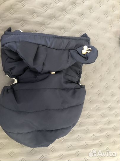 Одежда для собак