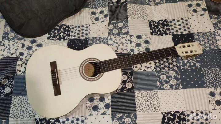 Гитара с зимним чехлом