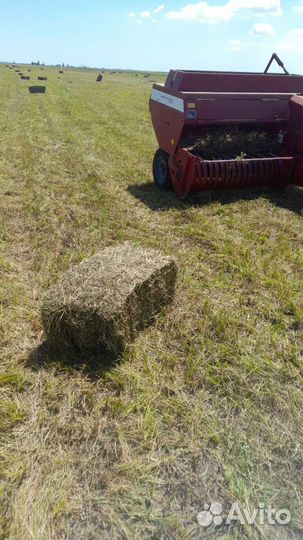 Сено свежее в тюках и рулонах этого года