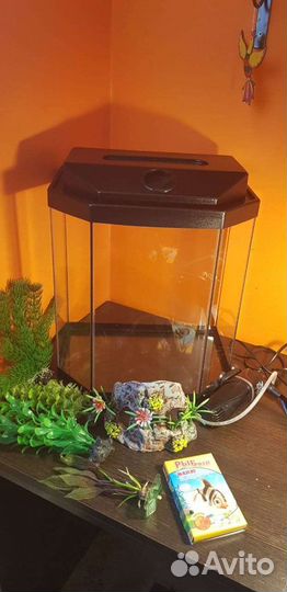Аквариум