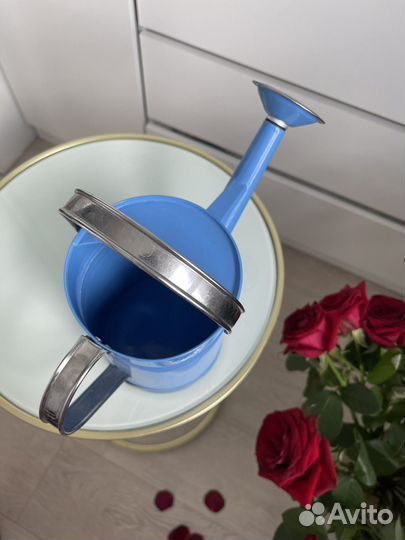 Лейка садовая металлическая