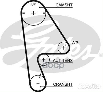 Ремень грм 5410XS Gates