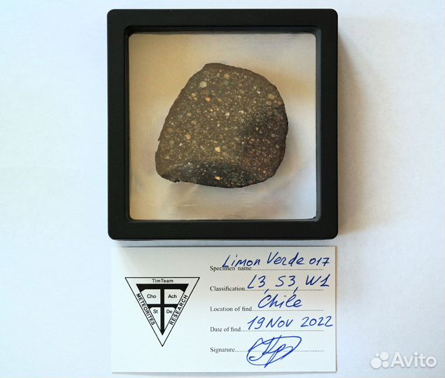 Метеорит Limon Verde 017 (L3,S3,W1) Чили