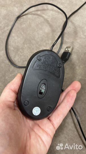 Компьютерная мышь