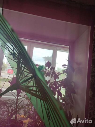 Зонтик китайский винтаж