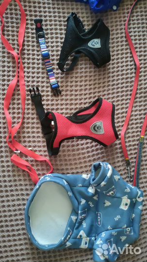 Амуниция для собак