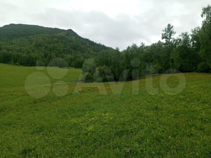 Участок 4,2 га (СНТ, ДНП)