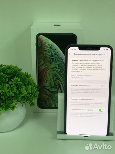 iPhone Xs Max, 256 ГБ