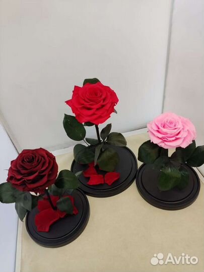 Роза в колбе опт и розница