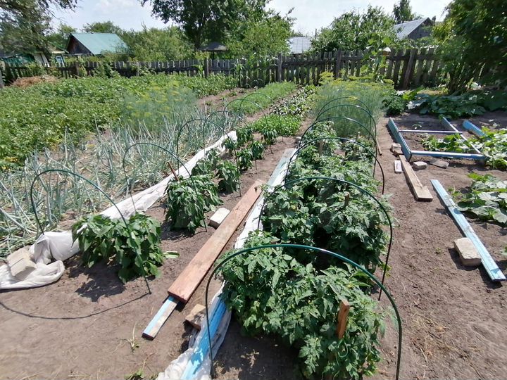 Дом 55 м² на участке 27 сот.