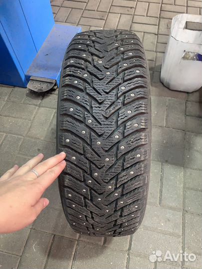 Hankook Aurora W403 195/65 R15