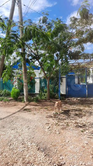 Дом 72,5 м² на участке 23 сот.