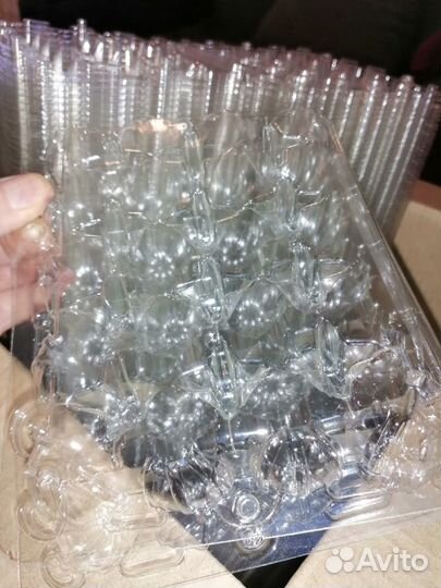 Упаковка для пепепелиных яиц