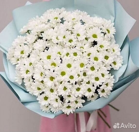 Хризантема Букеты с доставкой