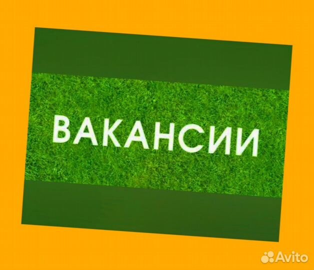 Маркировщик на склад без опыта Аванс еженед. Спецодежда Дружный коллектив