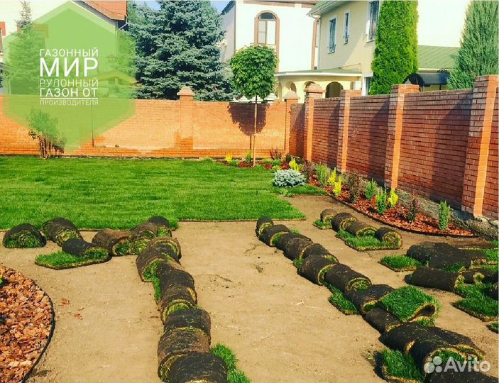 Рулонный газон