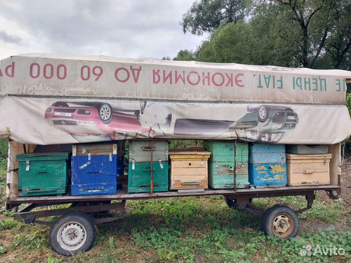 Пчелоприцеп