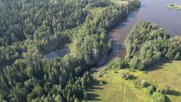 Участок 30 га (СНТ, ДНП)