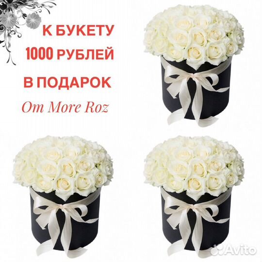 Розы 25 штук с доставкой