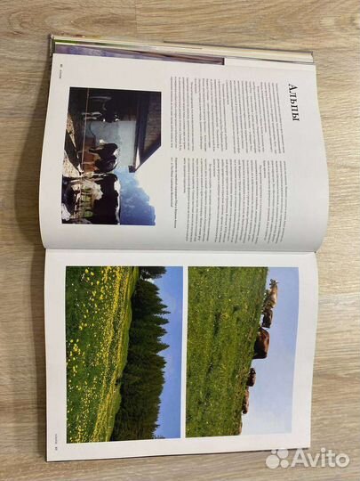 Лучшие Сыры Мира Михельсон