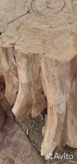 Дубовый пенек