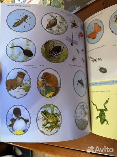 Чудо-наклейки Морис Пледжер