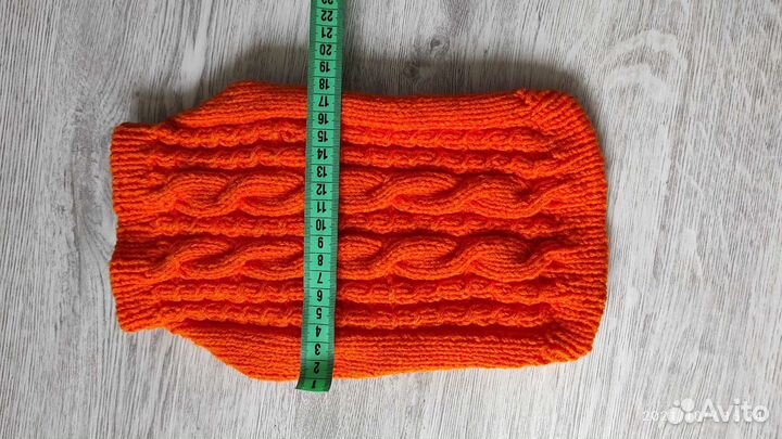 Одежда для собак