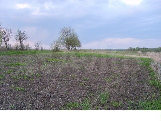 Участок 20 сот. (ИЖС)