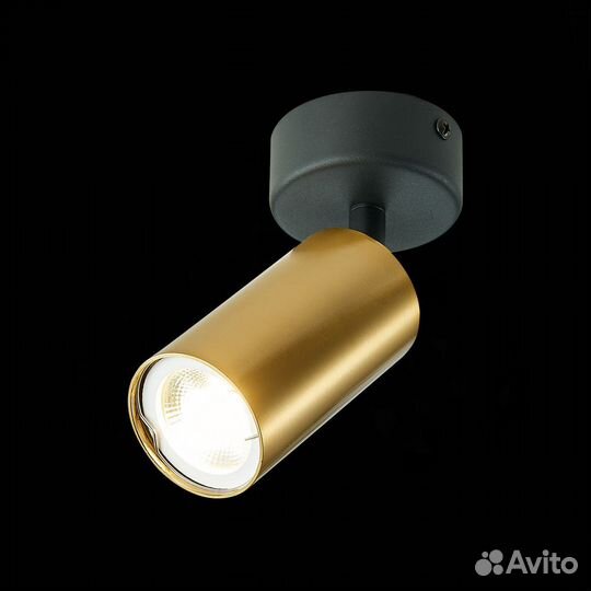 Спот ST Luce ST303 ST303.202.01