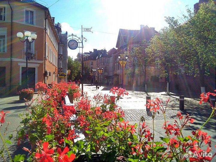 Экскурсия — Зеленоградск — «Тайны Зеленоградска»: