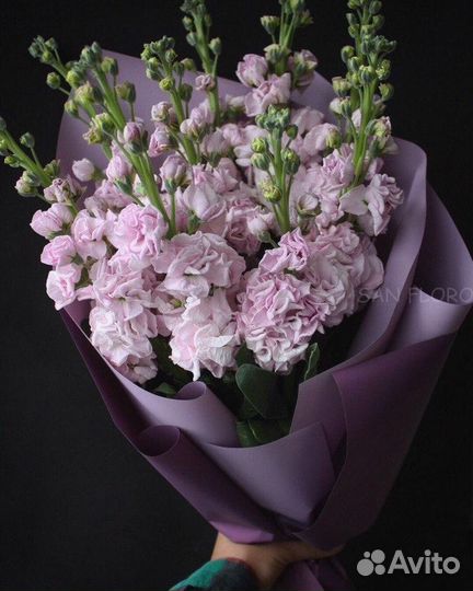 Букет из маттиолы. Цветы, букеты