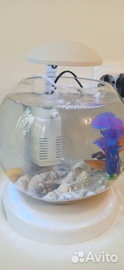 Аквариум Tetra 6.8л