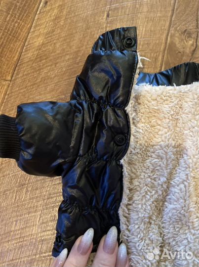 Одежда для собак