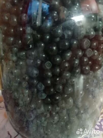 Свежая черника