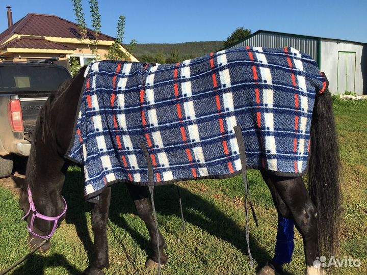 Попона после купания