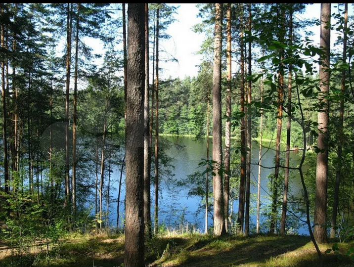 Участок 10 сот. (ИЖС)