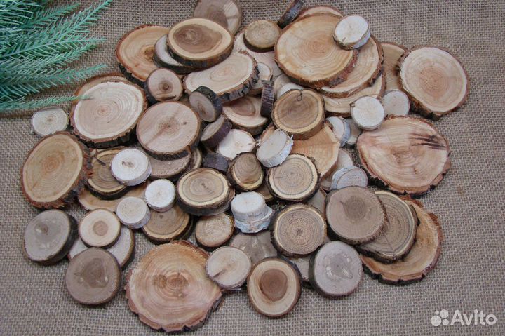 Спилы Набор 100 шт. разных размеров и пород дерева