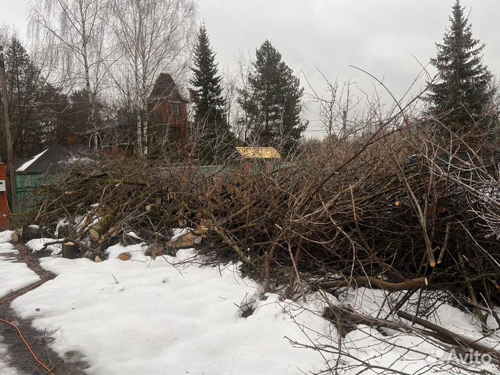 Дрова бесплатно самовывоз