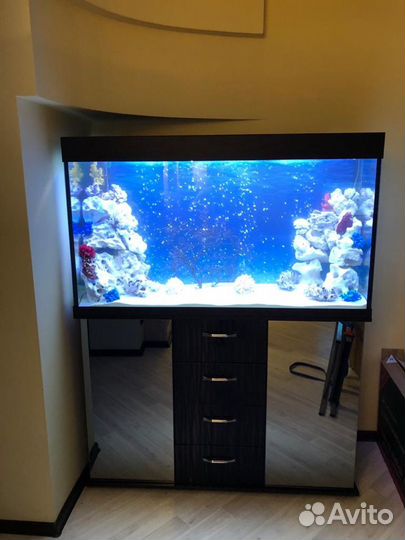 Аквариумы, Пруды обслуживание