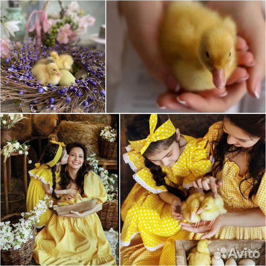 Детский и семейный фотограф