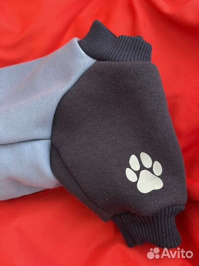 Одежда для маленьких собак