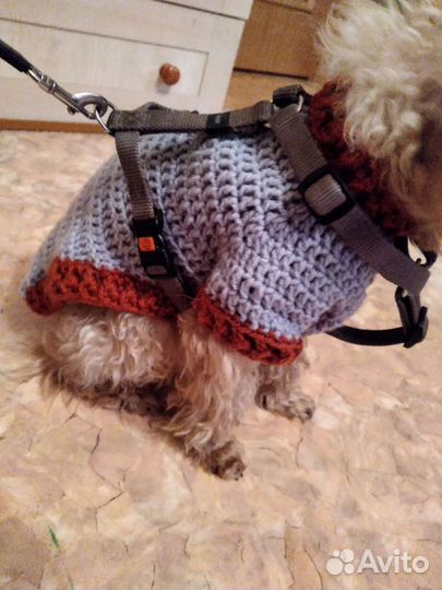 Кофта для собак