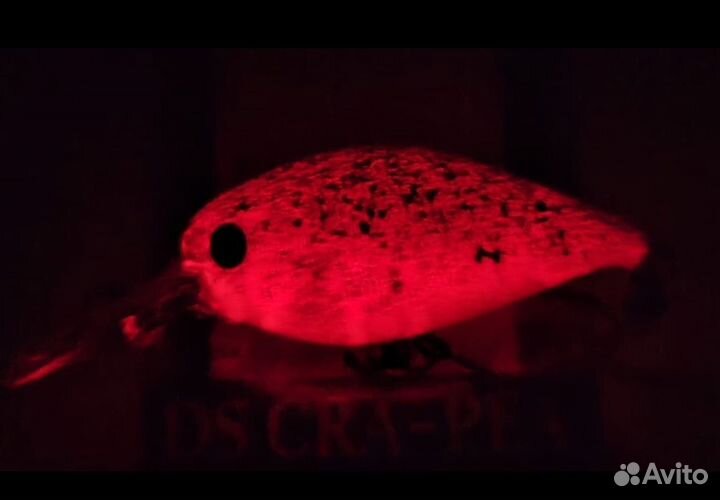 DaySprout CRA-PEA Deep G2