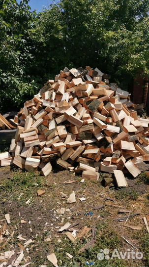 Дрова ясень акация