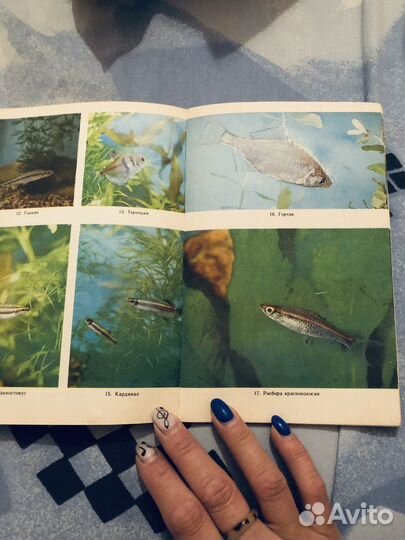 Книга для учителя по аквариумоведению в школе