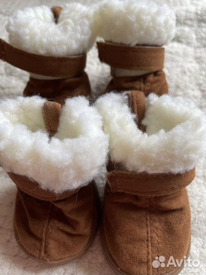 Обувь для собак