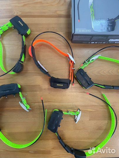 Ошейник Garmin T5/TT15, гарантия